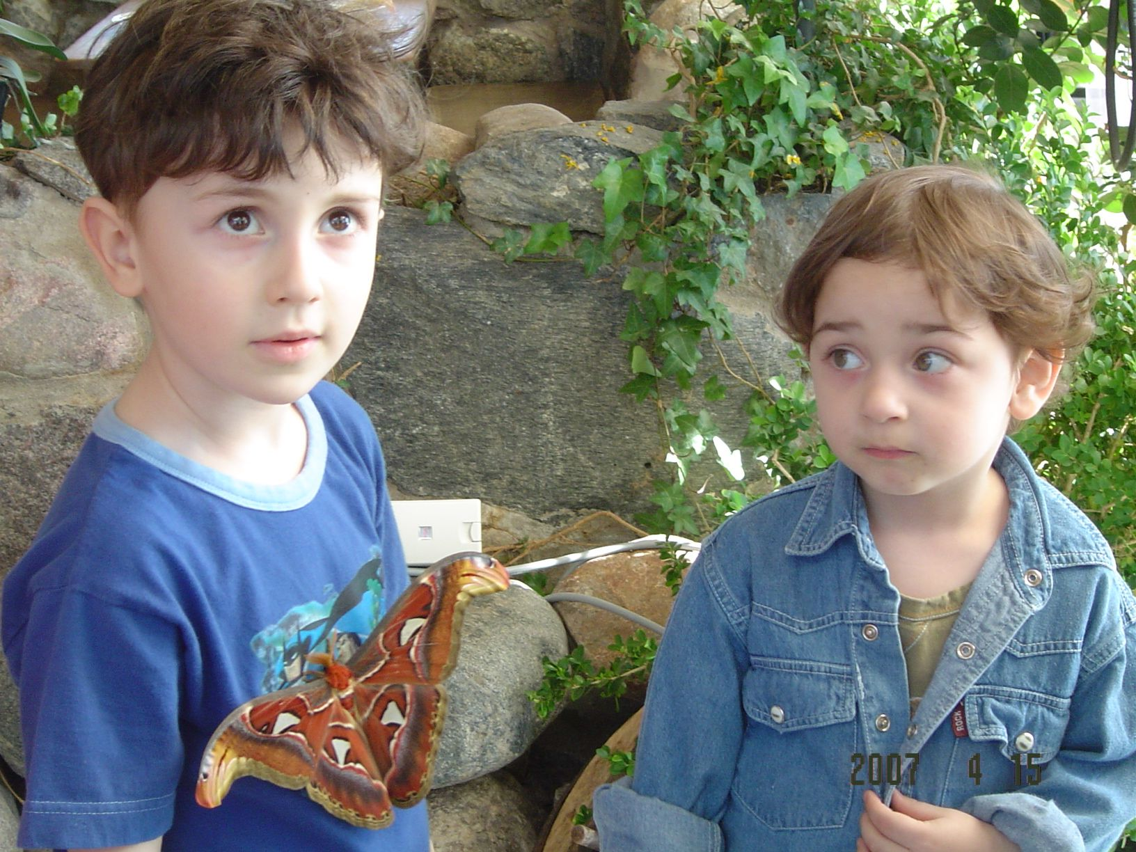 Image0001 Image0001