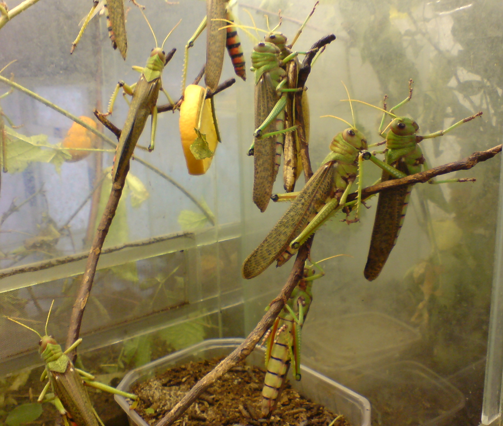 Image0002 Image0002